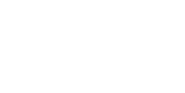 AVZ Logo